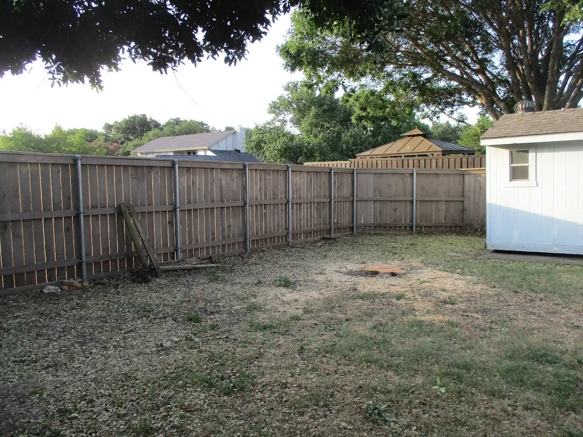 Cleared yard after professional tree removal in Montpelier